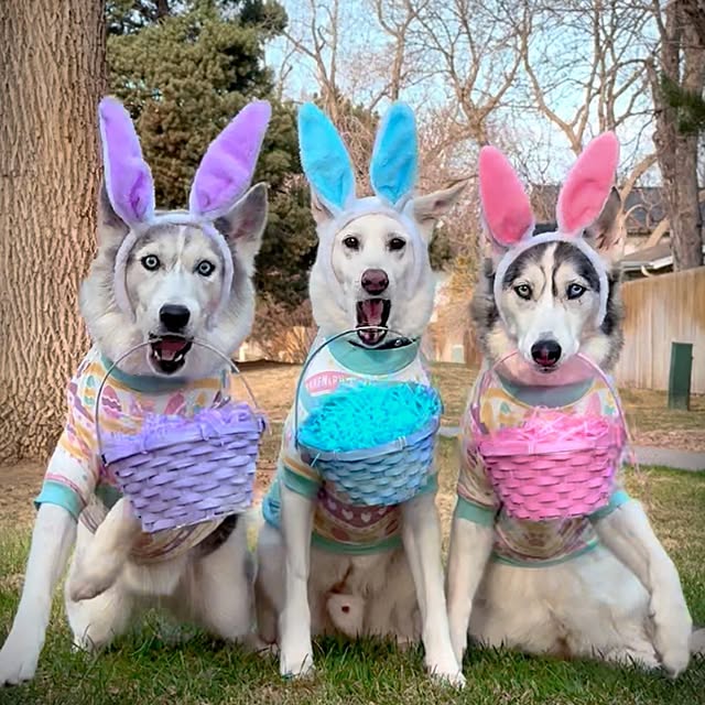  .....eteers   'recent posts' 