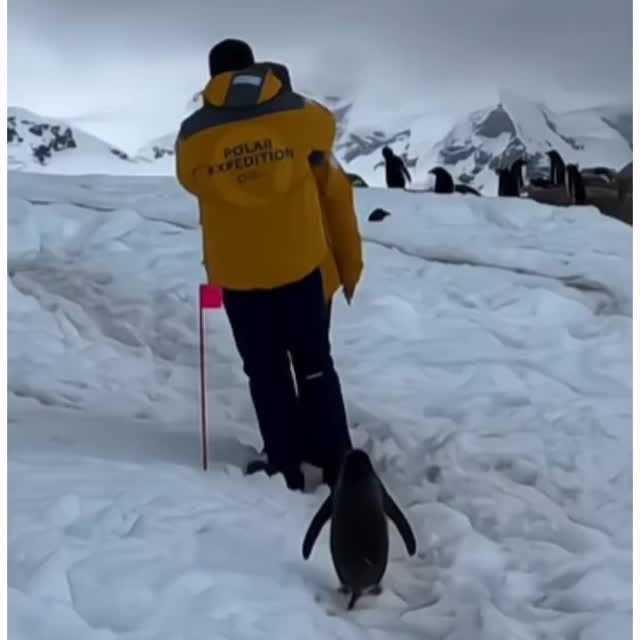  ......liimits   'recent posts' 