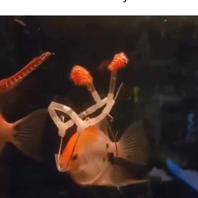  ......marino   'recent posts' 