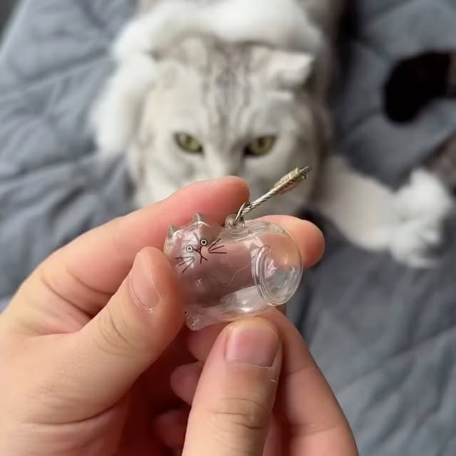  .......sdecors   'recent posts' 