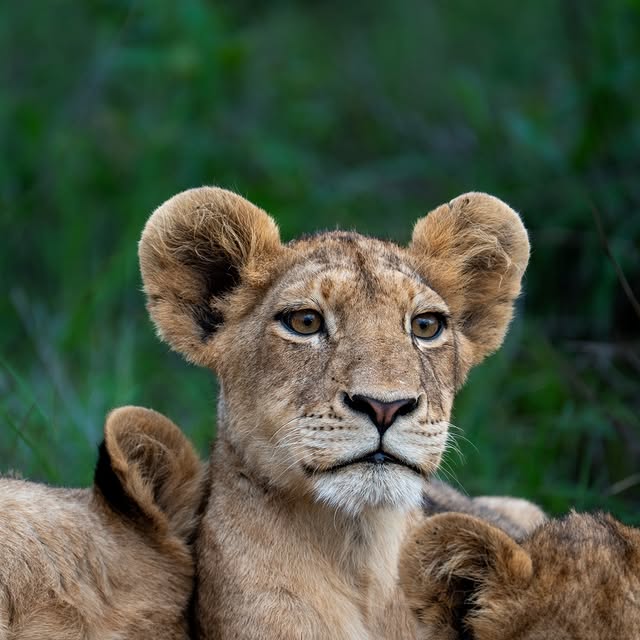  .........._sightings   'recent posts' 