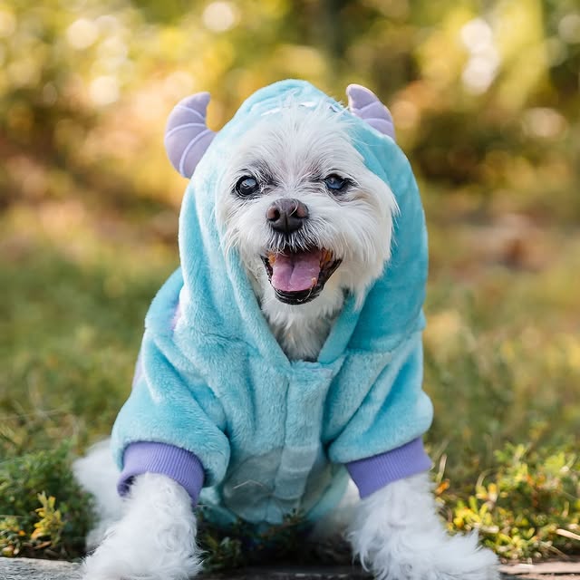  .......rlykong   'recent posts' 