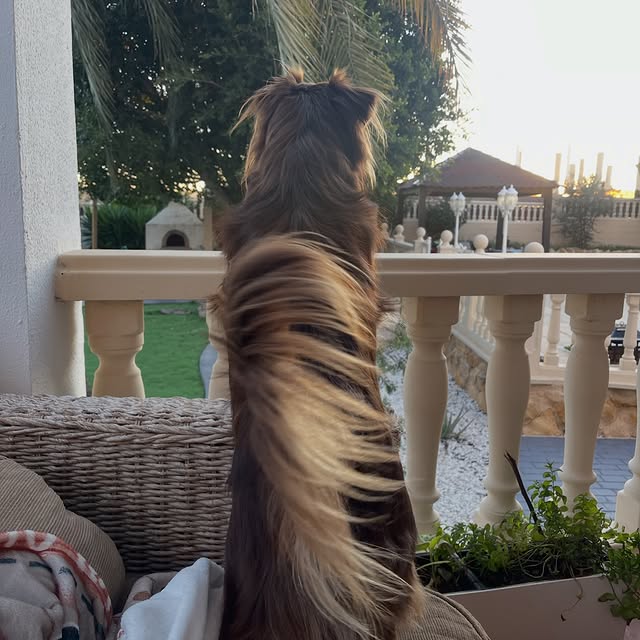  .....og2020   'recent posts' 