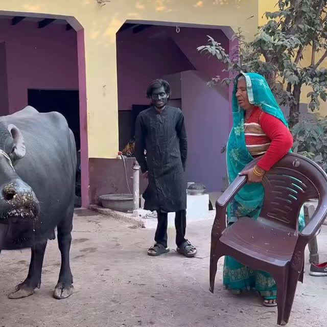  .....memes   'recent posts' 