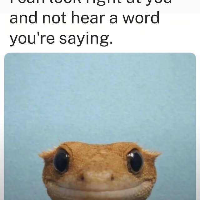  ......ngadhd   'recent posts' 