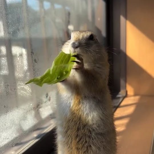  ..........discoverer   'recent posts' 