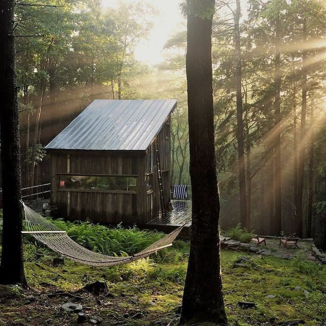  ......dcabin   'recent posts' 