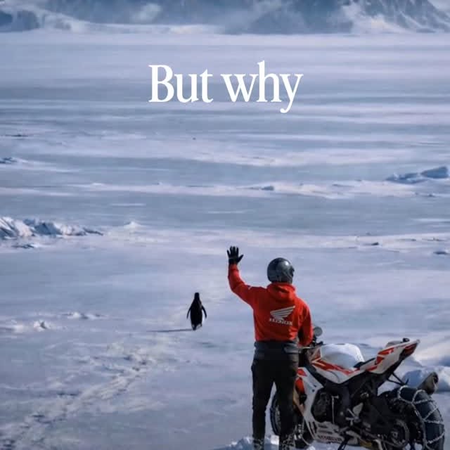  .......rate_rr   'recent posts' 