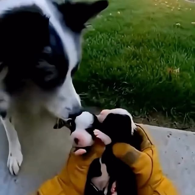  ....fday   'recent posts' 