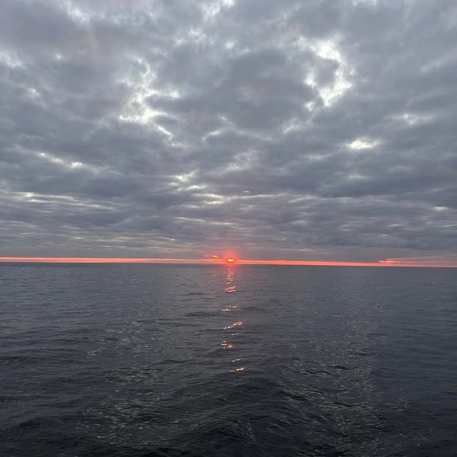  .........nceschini_   'recent posts' 