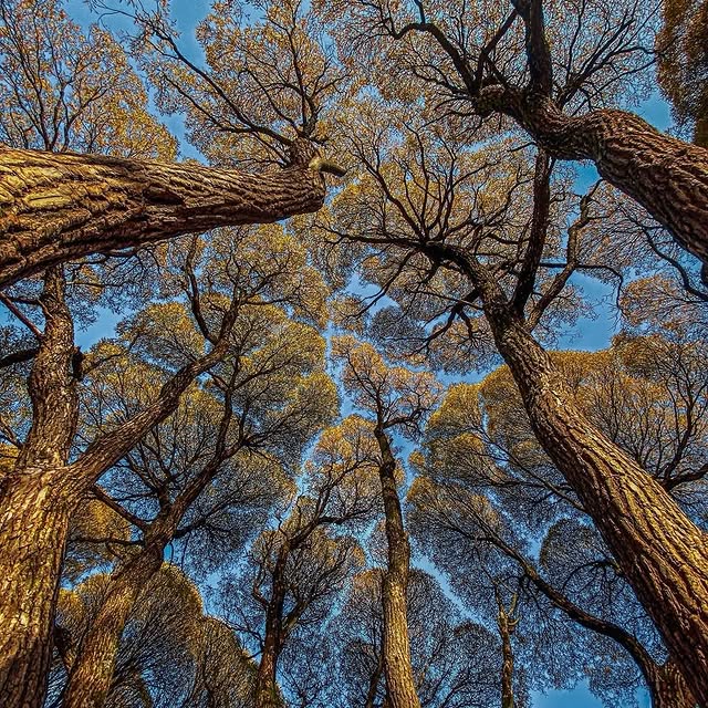  ......erfever   'recent posts' 