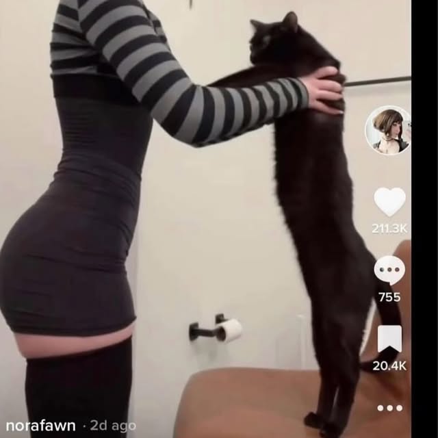  ....memes   'recent posts' 