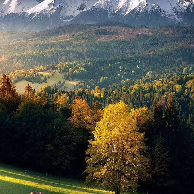  ......inside   'recent posts' 