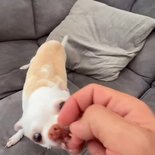  ........astiming   'recent posts' 