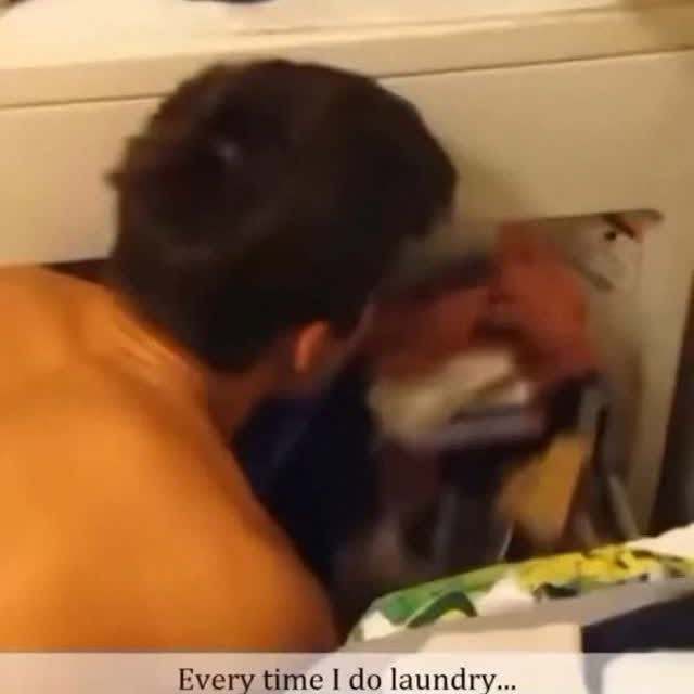  .......alvines   'recent posts' 