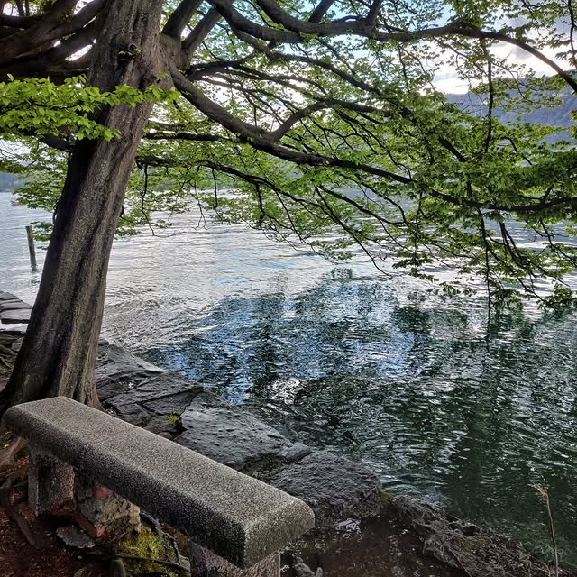  .......antuccis   'recent posts' 