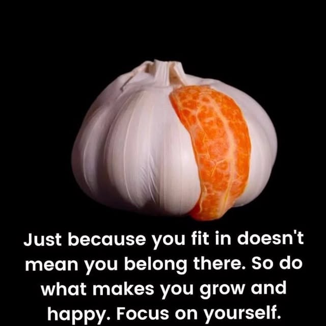  ........oundation   'recent posts' 