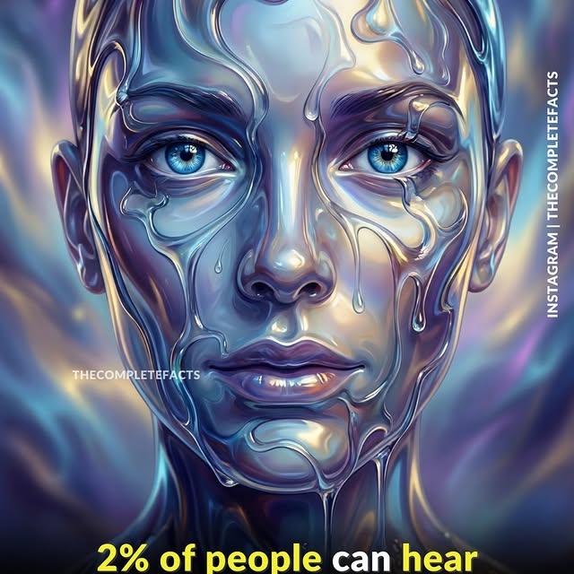  ........etefacts   'recent posts' 