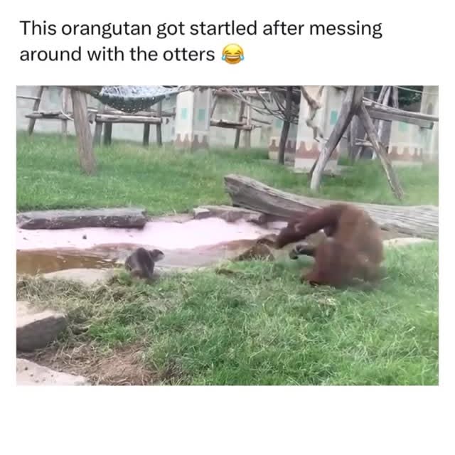  .......posting   'recent posts' 