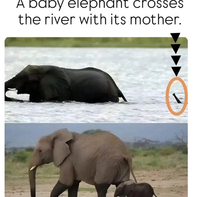  ........_culture_   'recent posts' 