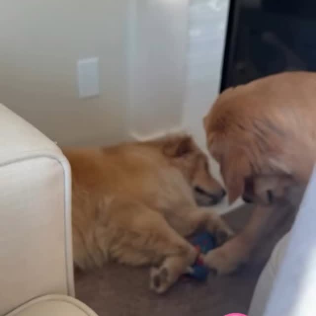  .......malshow   'recent posts' 