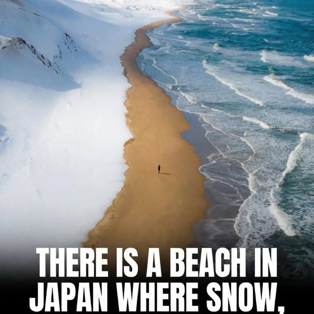  ......sfervor   'recent posts' 