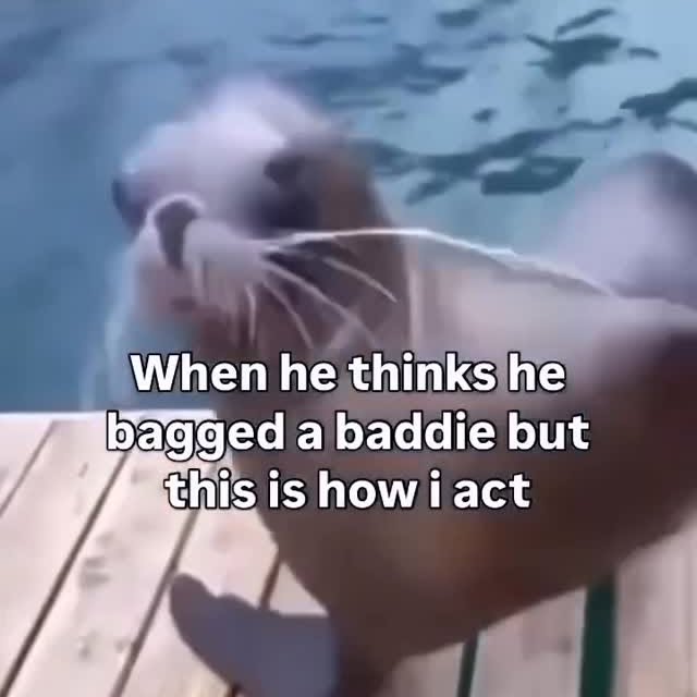  ....tefy   'recent posts' 