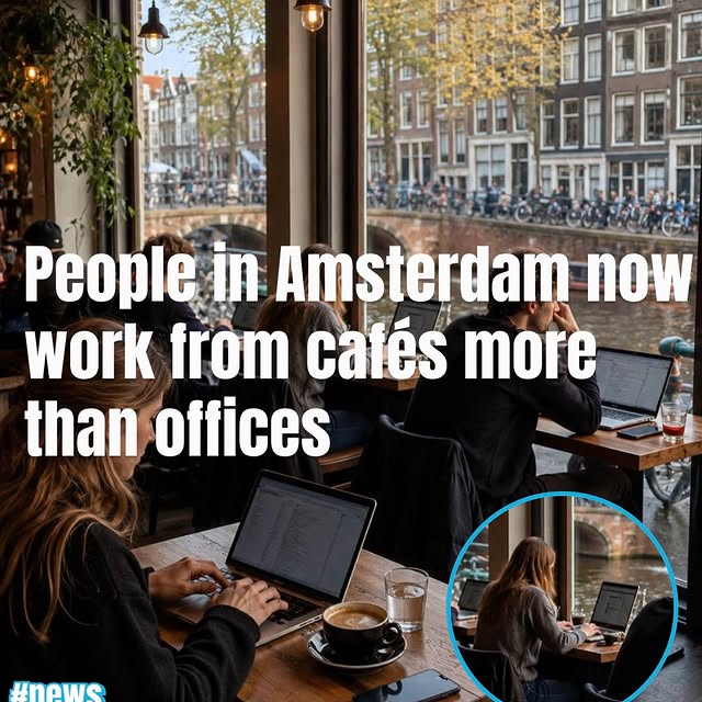  .......amworld   'recent posts' 