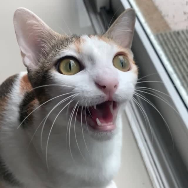  ......kekkek   'recent posts' 