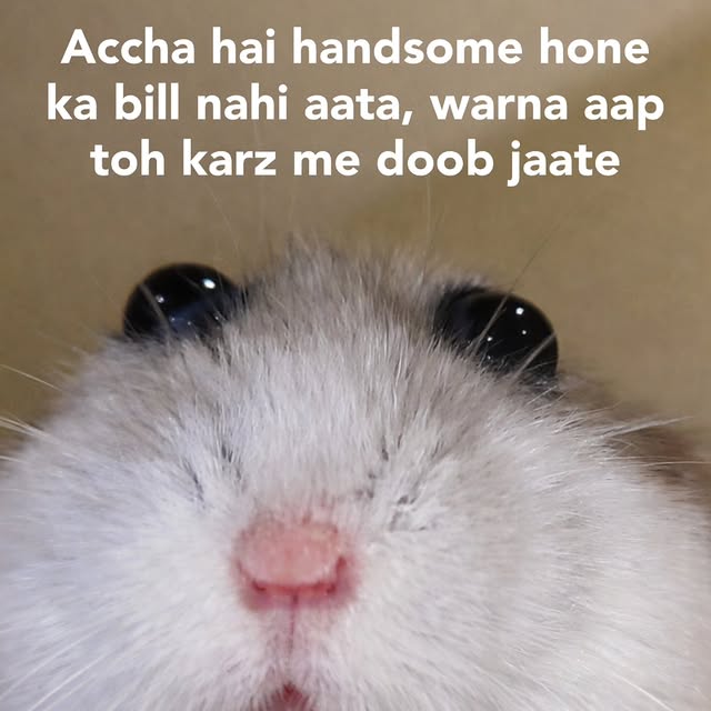  .......dstories   'recent posts' 