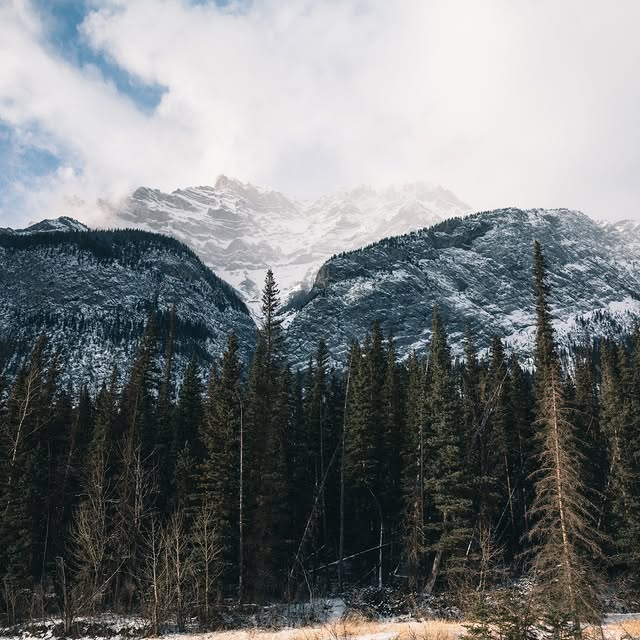  .......dventure   'recent posts' 