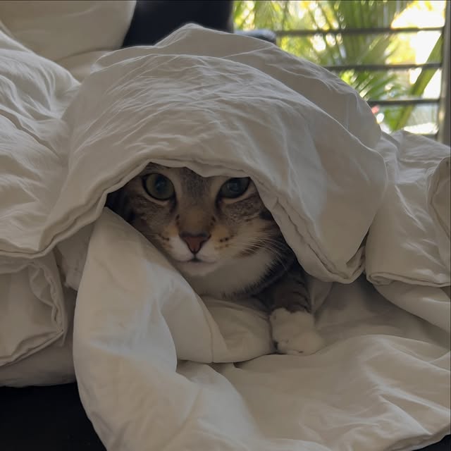  ......adamus   'recent posts' 