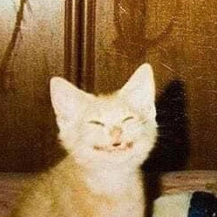 Hire ....ho619 influencer with 1.6m