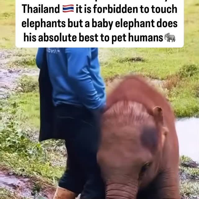  ........rldsnews   'recent posts' 