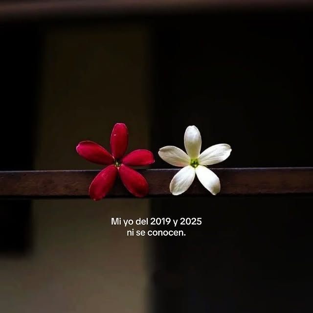  ......epicos   'recent posts' 