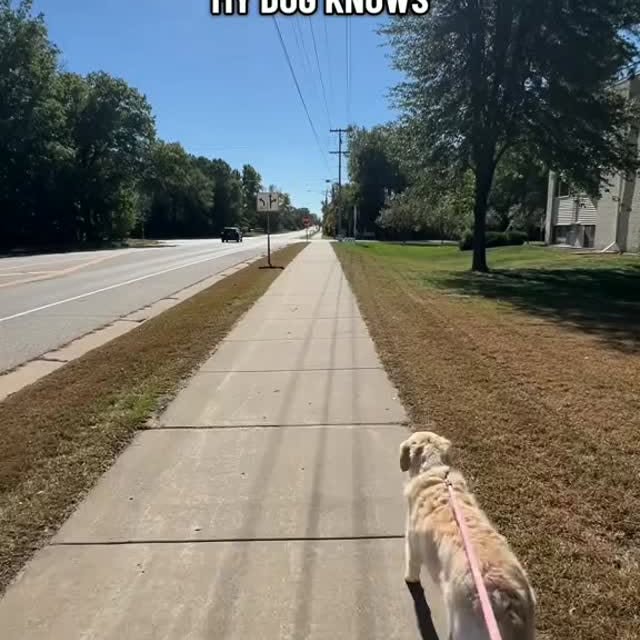  ....ofk9   'recent posts' 