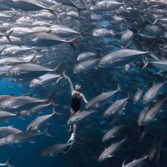  ......uecoast   'recent posts' 