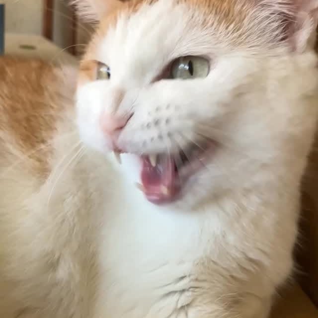  ......kekkek   'recent posts' 