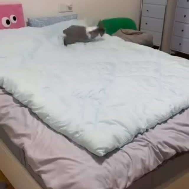  .......inheart   'recent posts' 