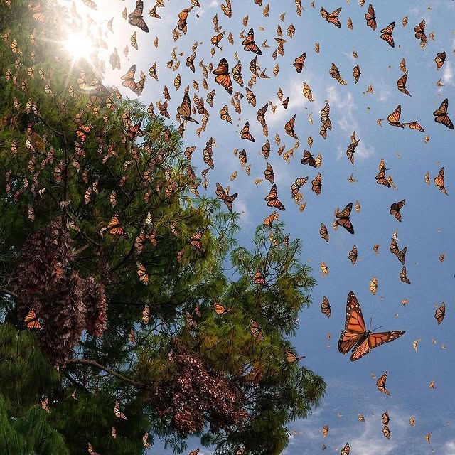  ........ionfervor   'recent posts' 