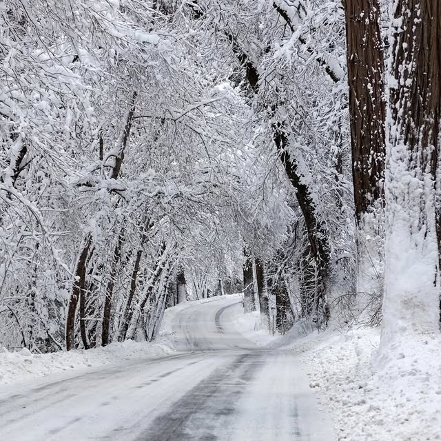  ........vacations   'recent posts' 