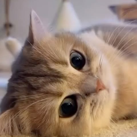  .....fweek   'recent posts' 