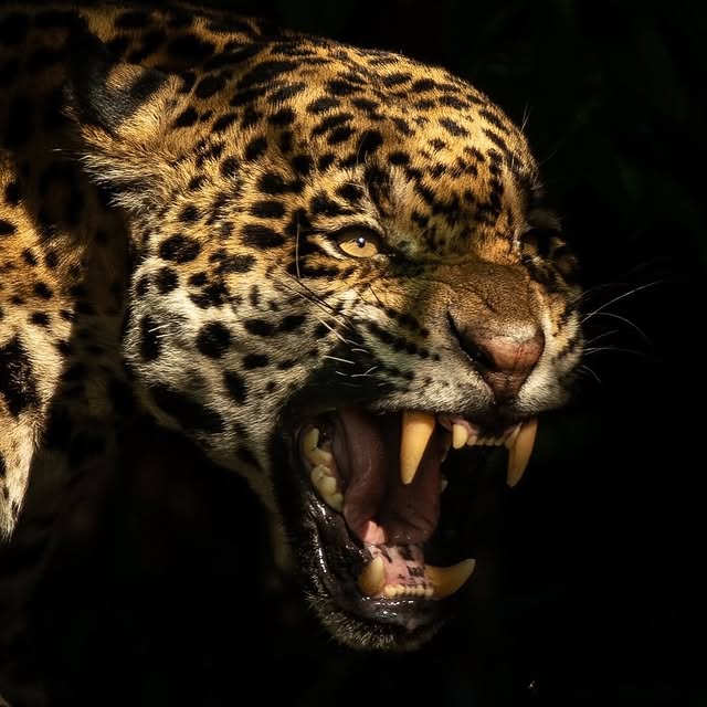  .......rfervor   'recent posts' 