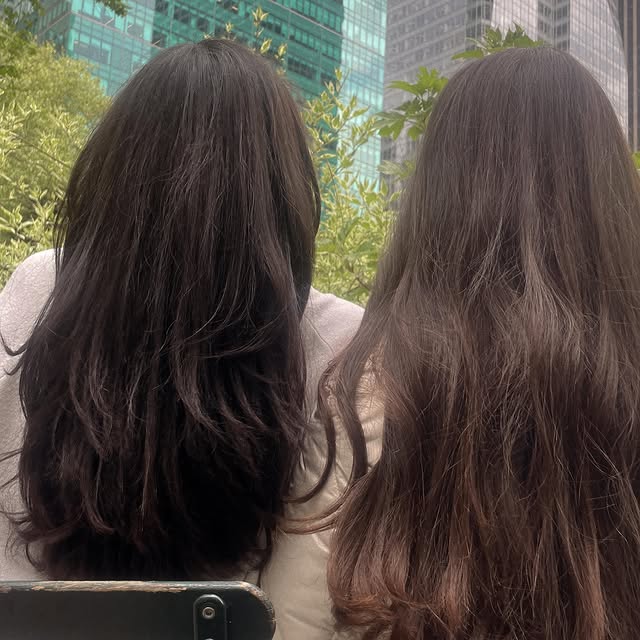  ........seflower   'recent posts' 