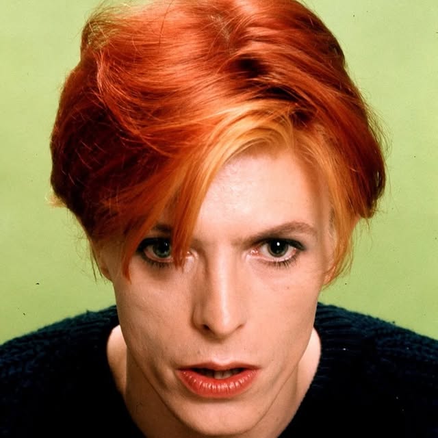  .......wiereal   'recent posts' 