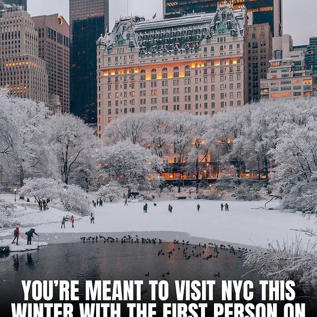  .....ervor   'recent posts' 