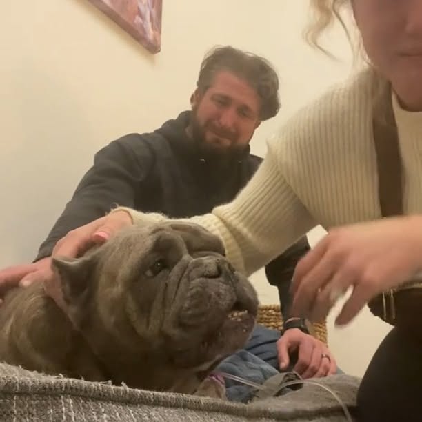  .....sland   'recent posts' 