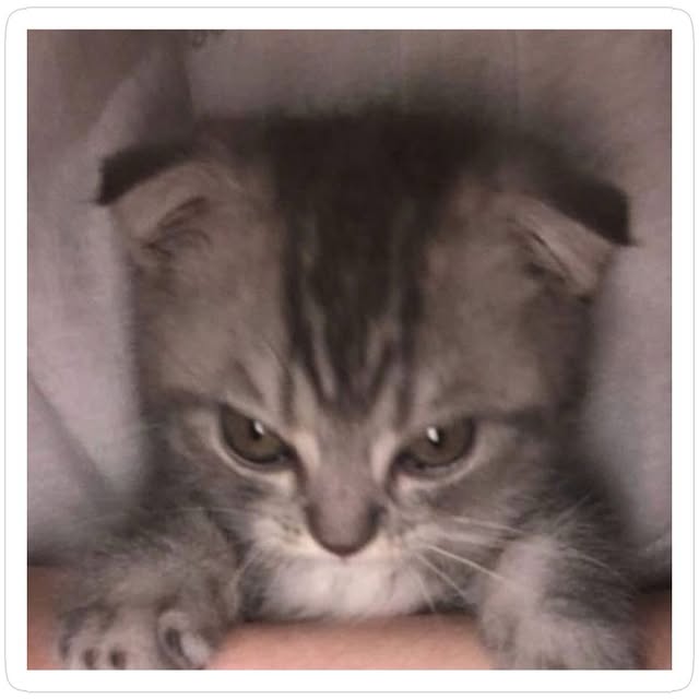  .......world.in   'recent posts' 