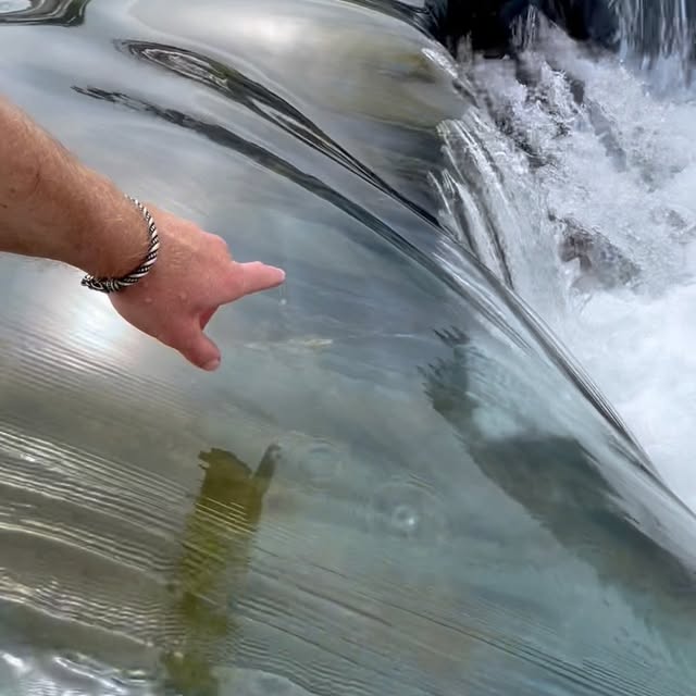  .....erting   'recent posts' 