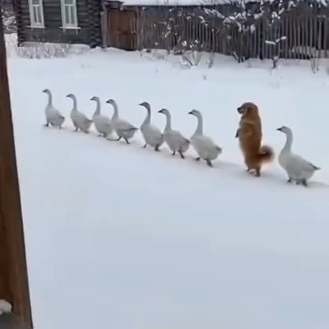  ......imalshq   'recent posts' 